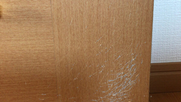 補修例　ドア　ペット引っかき傷
