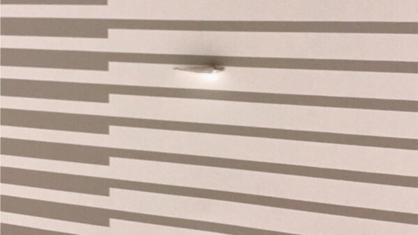 補修例　仕事納め 玄関ドア