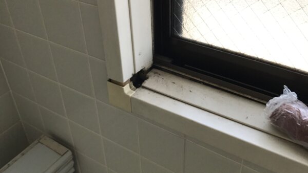 補修例　アルミ枠