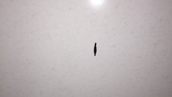 補修日記　キッチンパネル　岐阜